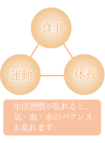 ライフスタイル図