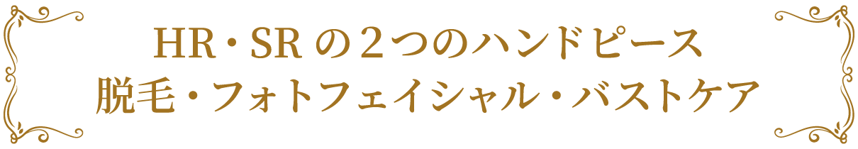 HR・SRの２つのハンドピース。