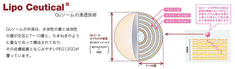 Quソームの浸透技術、Lipo Ceutical